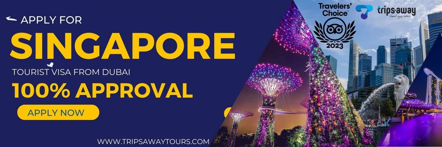 Singapore Tourist Visa from Dubai image
